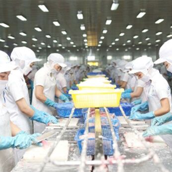Nhiệt độ màu của đèn phòng sạch ảnh hưởng đến môi trường làm việc như thế nào?