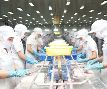 Nhiệt độ màu của đèn phòng sạch ảnh hưởng đến môi trường làm việc như thế nào?