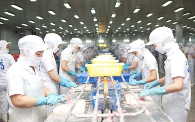Tối ưu hóa năng lượng trong nhà máy thực phẩm
